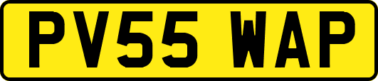 PV55WAP