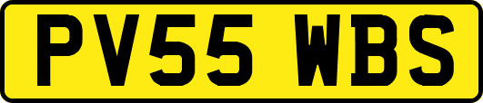 PV55WBS