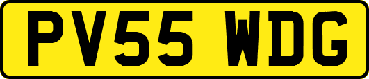 PV55WDG