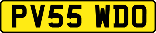 PV55WDO