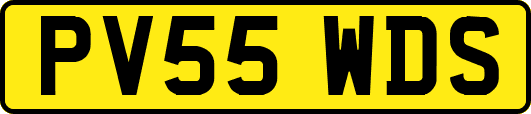 PV55WDS