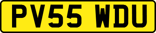 PV55WDU