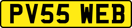 PV55WEB