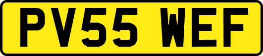 PV55WEF