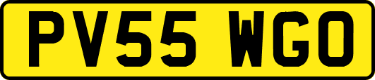 PV55WGO