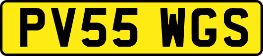 PV55WGS