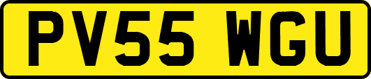 PV55WGU