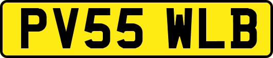 PV55WLB
