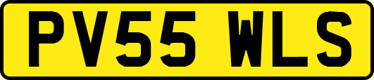 PV55WLS