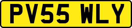 PV55WLY