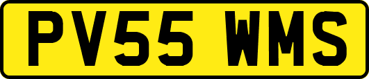 PV55WMS