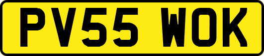 PV55WOK
