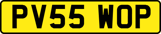 PV55WOP