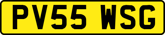 PV55WSG