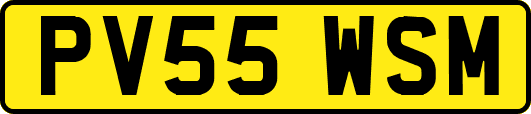 PV55WSM