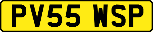 PV55WSP