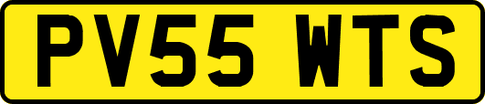 PV55WTS