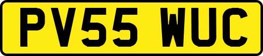 PV55WUC