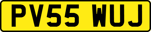 PV55WUJ