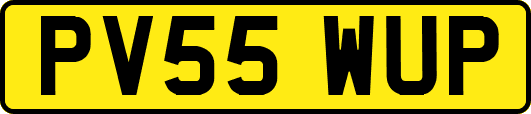 PV55WUP