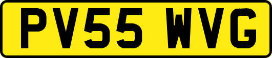 PV55WVG