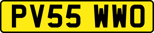 PV55WWO