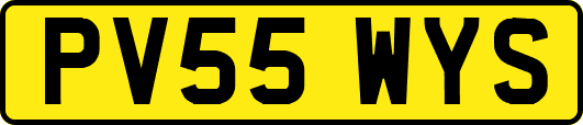 PV55WYS