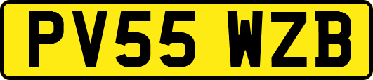 PV55WZB