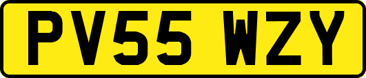 PV55WZY