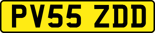 PV55ZDD