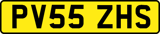 PV55ZHS