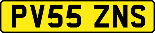 PV55ZNS