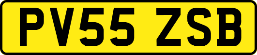 PV55ZSB