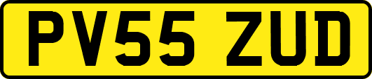 PV55ZUD