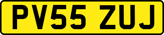 PV55ZUJ