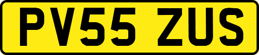 PV55ZUS