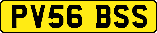 PV56BSS