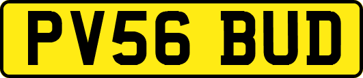 PV56BUD