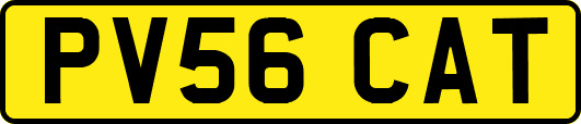 PV56CAT