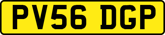PV56DGP