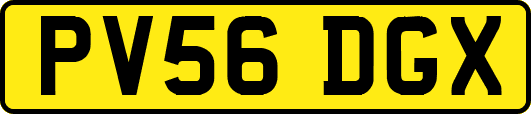 PV56DGX