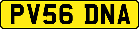 PV56DNA