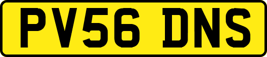 PV56DNS