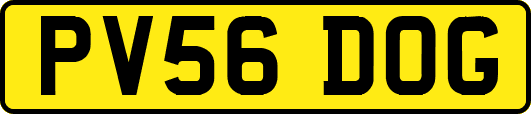 PV56DOG