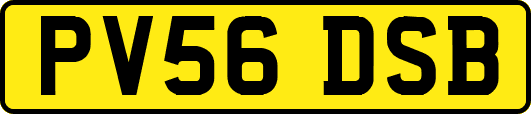 PV56DSB