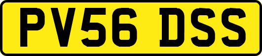 PV56DSS