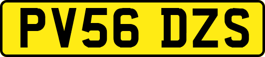 PV56DZS
