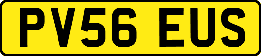 PV56EUS