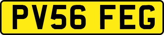 PV56FEG