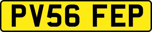 PV56FEP